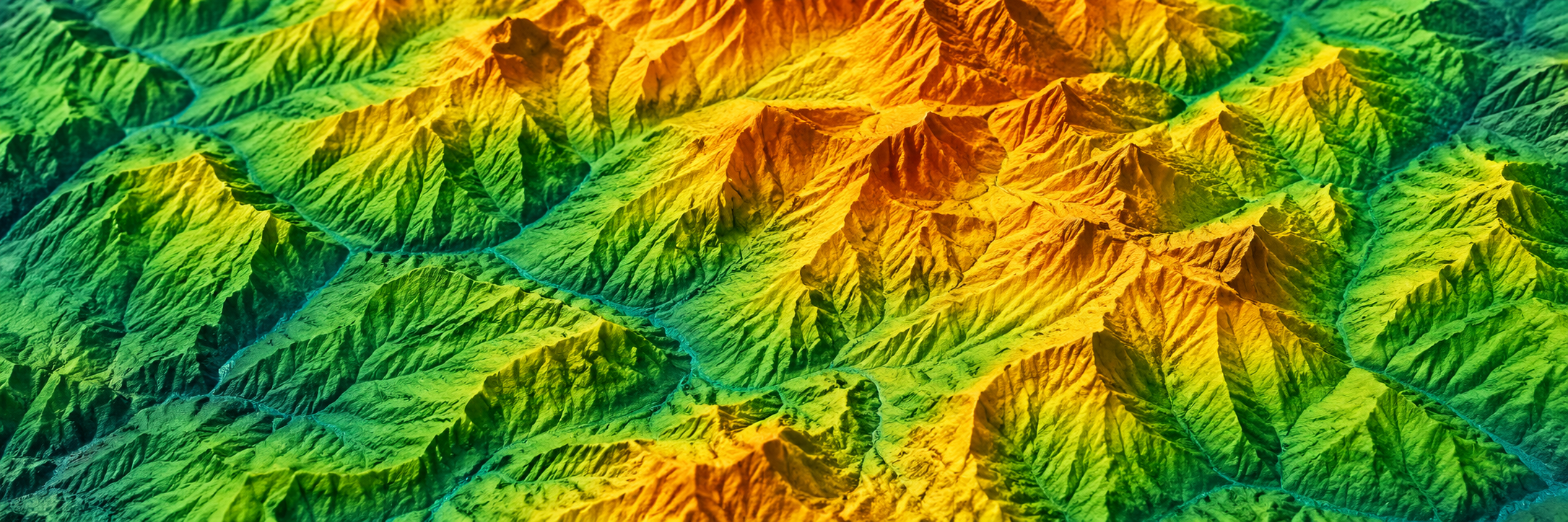 Elevation model